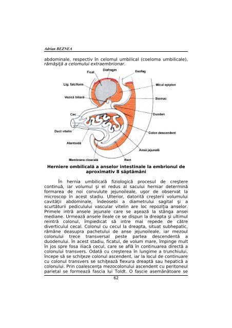 CURSUL I - Cursuri Medicina