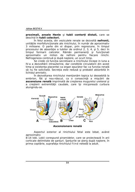 CURSUL I - Cursuri Medicina