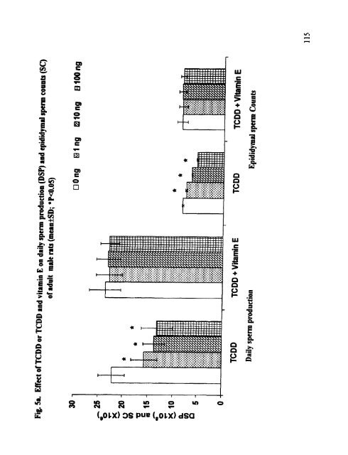 ON TESTIS AND EPlDlDYMlS OF RATS - Pondicherry University ...