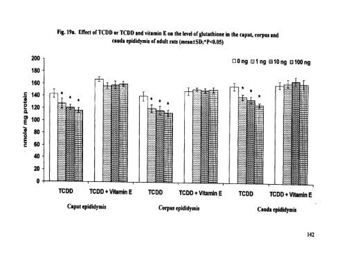 ON TESTIS AND EPlDlDYMlS OF RATS - Pondicherry University ...