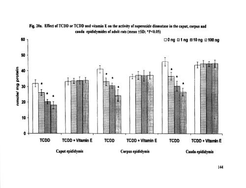 ON TESTIS AND EPlDlDYMlS OF RATS - Pondicherry University ...