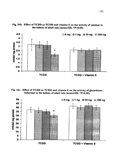 ON TESTIS AND EPlDlDYMlS OF RATS - Pondicherry University ...