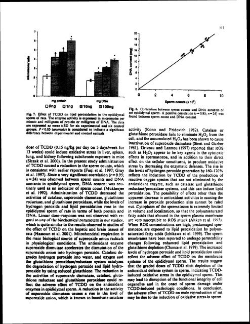 ON TESTIS AND EPlDlDYMlS OF RATS - Pondicherry University ...