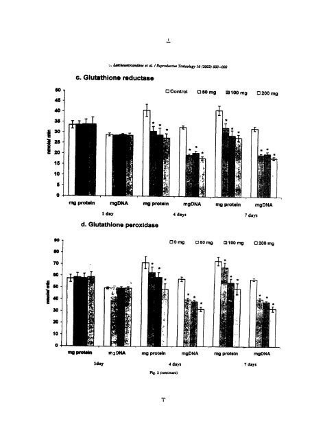 ON TESTIS AND EPlDlDYMlS OF RATS - Pondicherry University ...