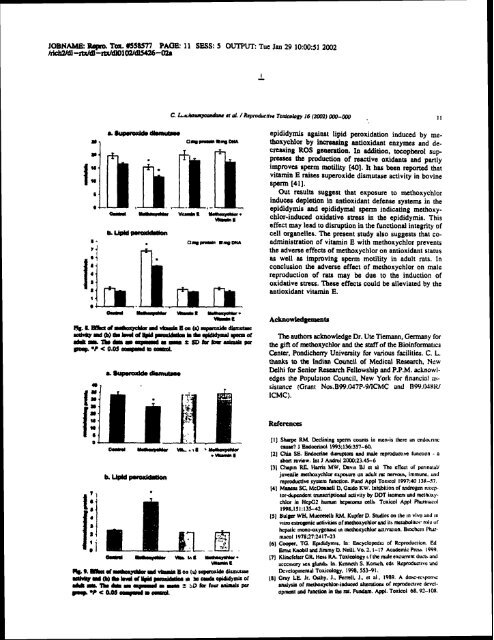 ON TESTIS AND EPlDlDYMlS OF RATS - Pondicherry University ...