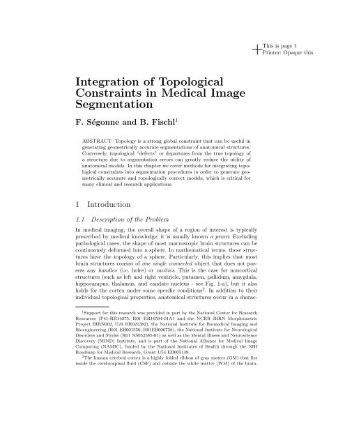 Integration of Topological Constraints in Medical ... - Florent SÃ©gonne