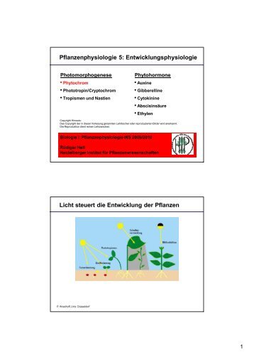 Pflanzenphysiologie 5: Entwicklungsphysiologie Licht ... - ZMBH