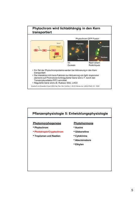 Pflanzenphysiologie 5: Entwicklungsphysiologie Licht ... - ZMBH