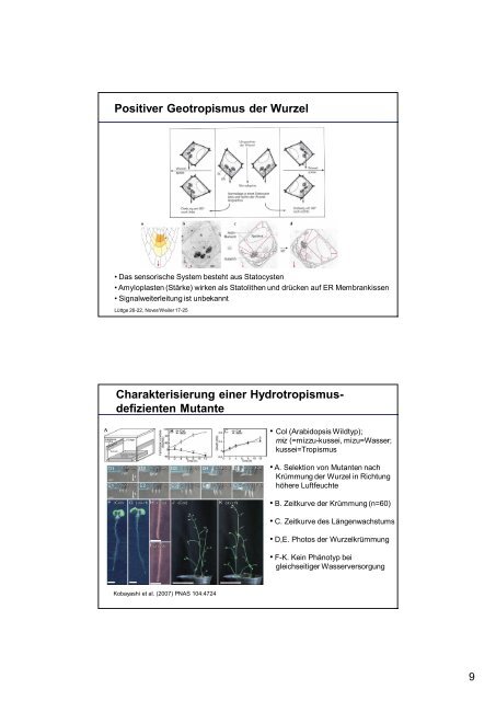 Pflanzenphysiologie 5: Entwicklungsphysiologie Licht ... - ZMBH