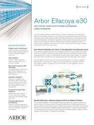 DPI - Arbor Ellacoya e30