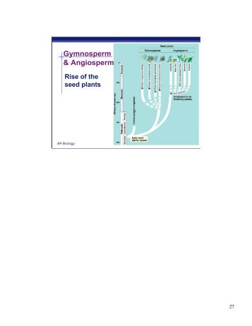 Chapter 29-30: Plant Diversity 2 - Explore Biology