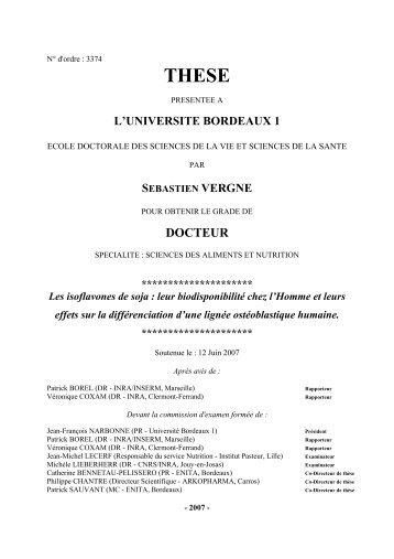 THESE - UniversitÃ© Bordeaux 1