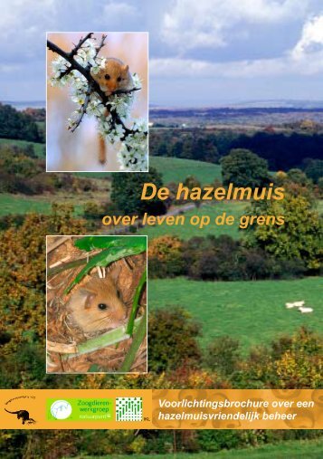 De hazelmuis - De Zoogdiervereniging