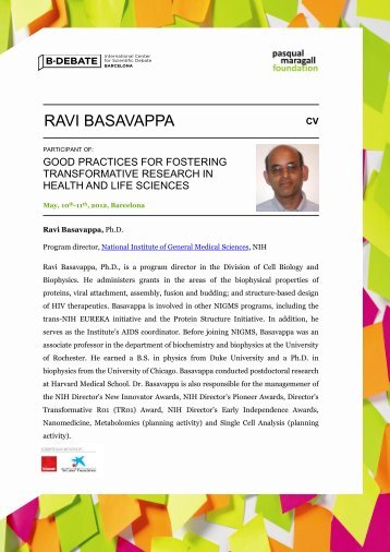 CV and abstract Ravi Basavappa - BÂ·Debate