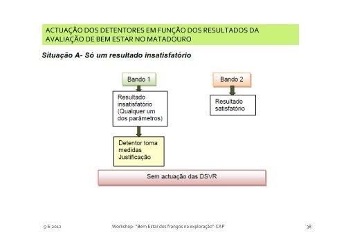 bem estar dos frangos