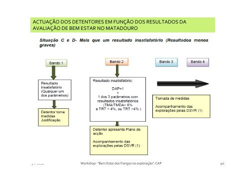 bem estar dos frangos