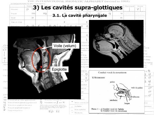 ECU E13 SLM CM - Atelier des Sciences du Langage