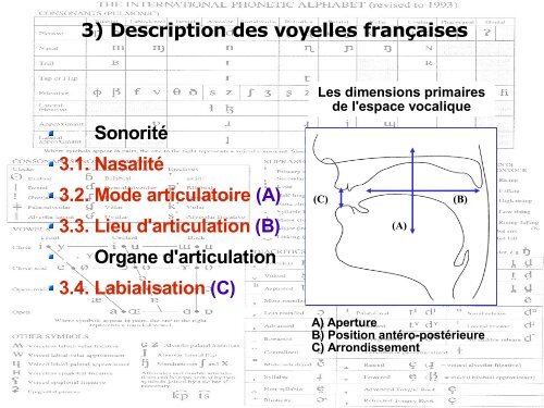 ECU E13 SLM CM - Atelier des Sciences du Langage