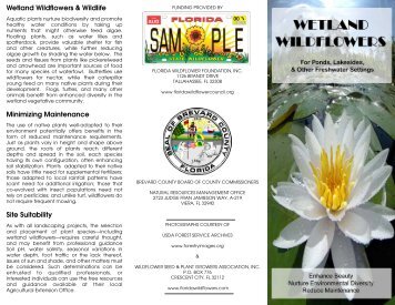 Wildflowers Brochure - Brevard County