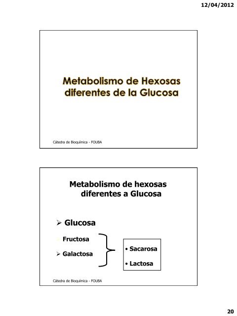 GlucÃ³lisis. Metabolismo de otras hexosas
