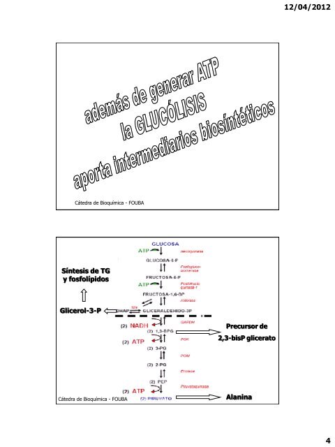 GlucÃ³lisis. Metabolismo de otras hexosas