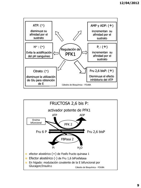 GlucÃ³lisis. Metabolismo de otras hexosas