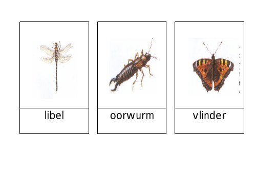 woordkaarten insekten.pdf - Kleutergroep