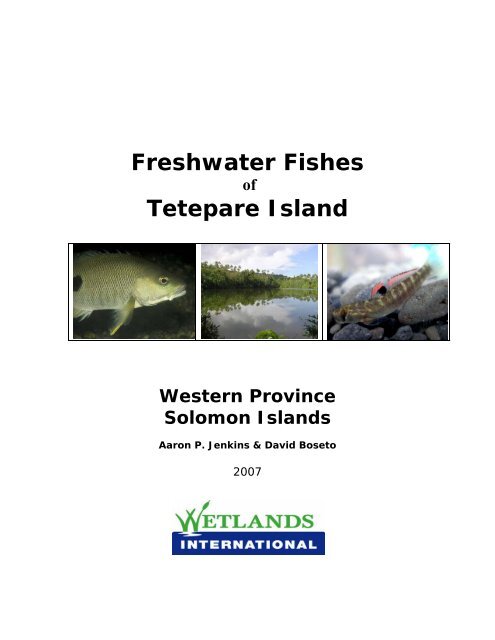 Freshwater Fishes of Tetepare Island - Western Solomons Research ...