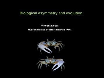 Symmetry in Biology - Cenbg