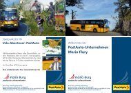 WandervorschlÃ¤ge Region Balmberg - PostAuto-Unternehmen ...