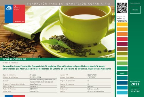 (Camellia sinensis) para ElaboraciÃ³n de TÃ© Verde Diferenciado - Fia