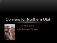 Conifers for Northern Utah - Forestry - Utah State University