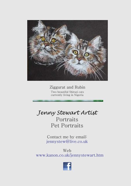 Jenny Stewart Artist