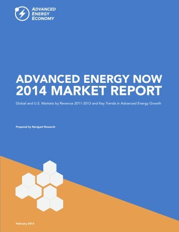 AEN-2014-Market-Report