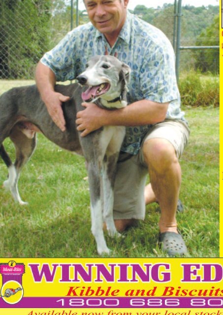 https://img.yumpu.com/28871786/1/500x640/february07-greyhounds-queensland.jpg