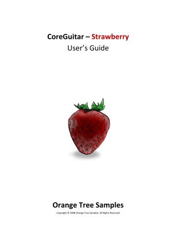 CoreGuitar - Strawberry - Manual - Orange Tree Samples