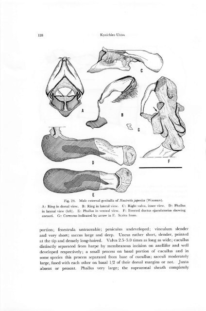 A revision of the genus Deltote RL and its allied genera from Japan ...