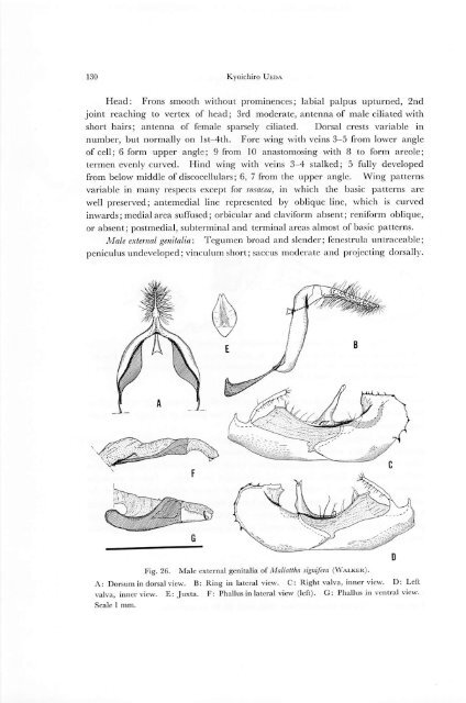 A revision of the genus Deltote RL and its allied genera from Japan ...