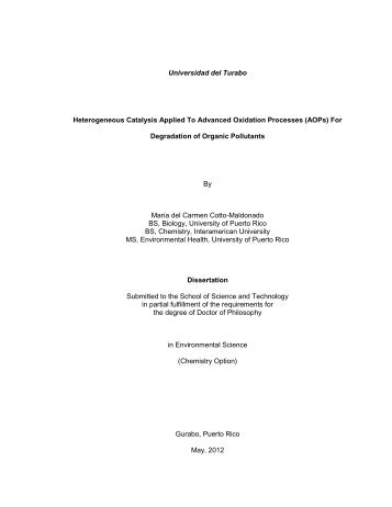 Universidad del Turabo Heterogeneous Catalysis Applied To ...