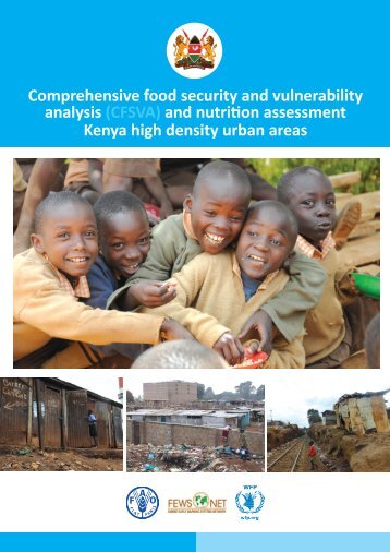 Comprehensive food security and vulnerability analysis (CFSVA ...