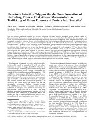 Nematode Infection Triggers the de Novo ... - Plant Physiology