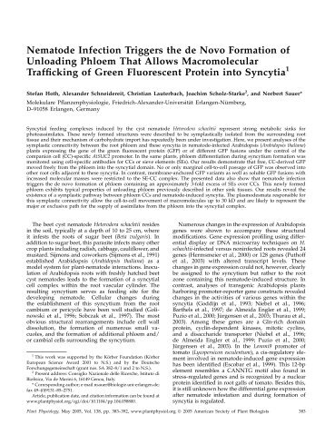 Nematode Infection Triggers the de Novo ... - Plant Physiology