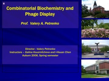 7. Biopanning and applications of phage display