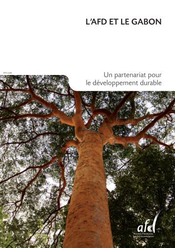 L'AFD ET LE GABON - Agence FranÃƒÂ§aise de DÃƒÂ©veloppement