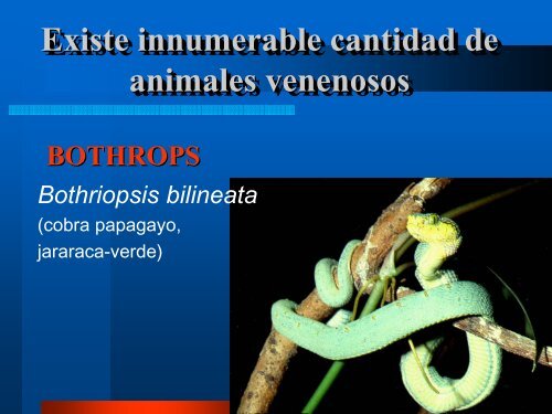 Metodología para el Sistema de Vigilancia Epidemiológica en ...