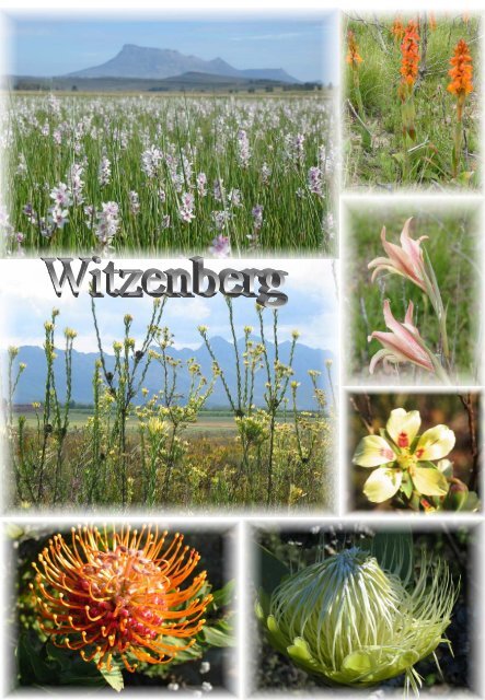 Bio Diversity Study - Witzenberg Municipality