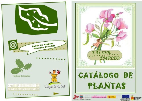 En contra Húmedo Arancel CATALOGO-PLANTAS