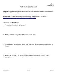 Cell Membrane Tutorial