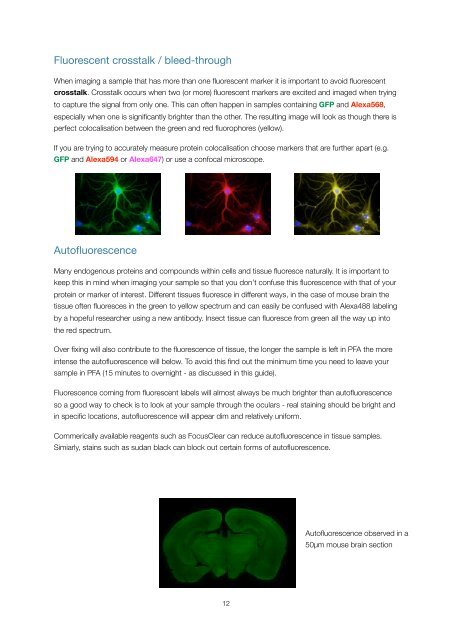 QBI HISTOLOGY AND MICROSCOPY GUIDE