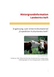 Hintergrundinformation Landwirtschaft